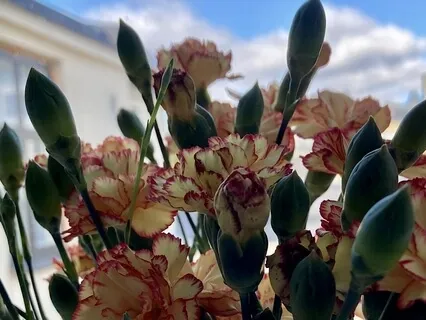 Stressin lievitys - lyhyt ohjattu meditaatio stressiin