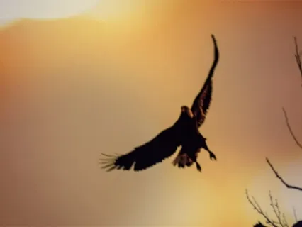 Stretch, Breathe and Sit