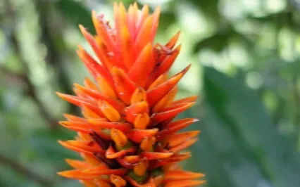 Stretching Practice 15-Min (The Mindful Christian)