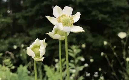 Stretching Practice 7-Min (The Mindful Christian)