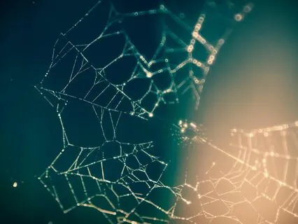 String Theory