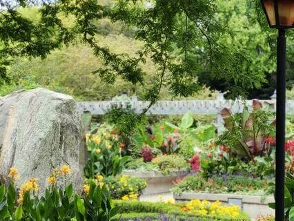 Stroll Through The Garden