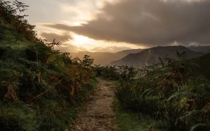 Strolling Along The Path 