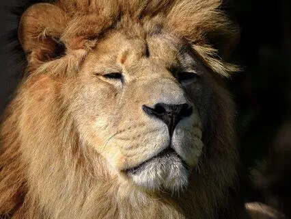 Strong And Confident Woman Meditation