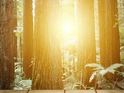 Strong And Fearless Flowdream Meditation