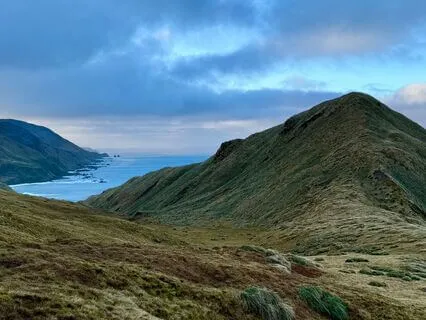 Strong Wind & Gentle Rain Over Grasslands – Sleep Soundscape