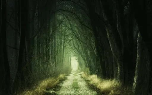 Strong Wind In A Forest