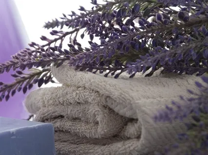 Structuring Your Day For Well-Being: Mini Meditation (Part 3)