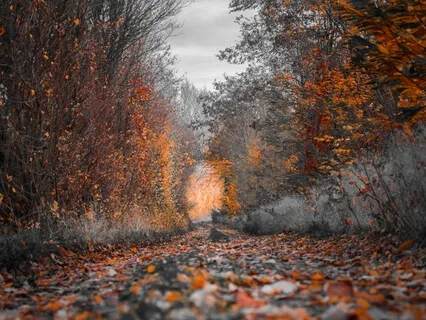 Struggles For Inner Peace