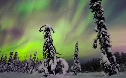 Study Music | Ambient Music For Focus & Concentration