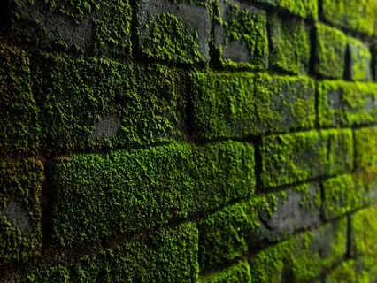 Study Music | Focus Music For Work & Studying