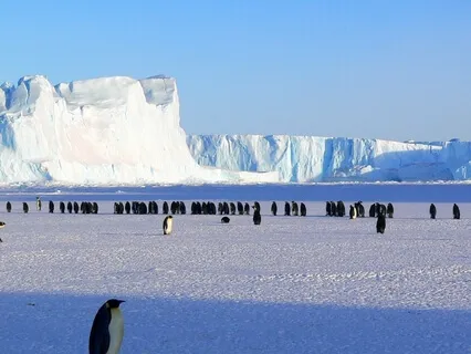 Study Music To Concentrate | Improve Focus & Memory