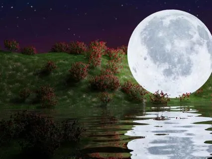 Sturgeon Moon: Strength & Abundance