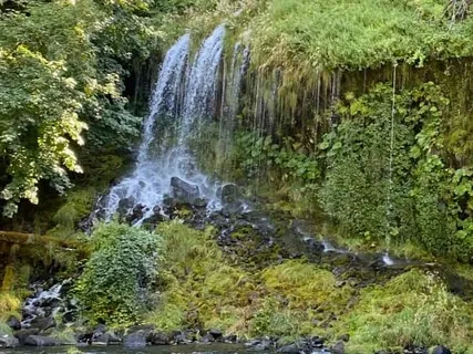 Sublime Aquatic Sitar And Bamboo Flute