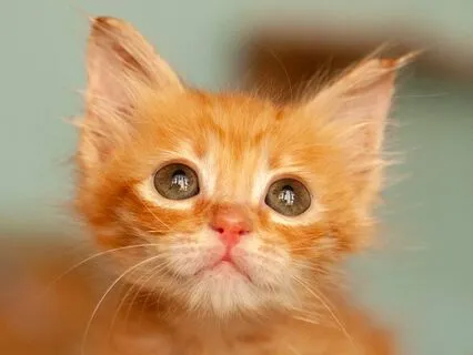 Sublime | Binaural Beats: Delta Brain Waves