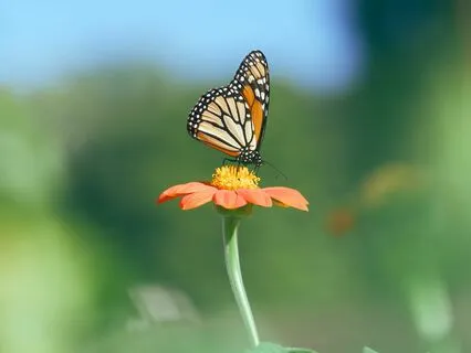 Subliminal Affirmations | Expect Good News In 24 Hours