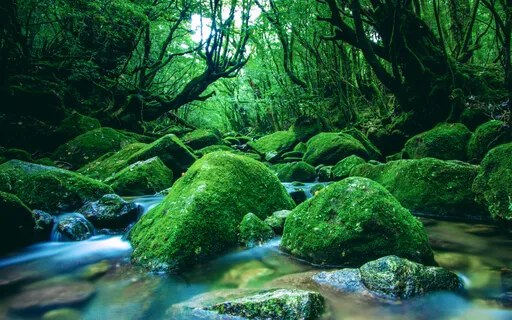 Subliminal Affirmations For Attracting Your Soulmate