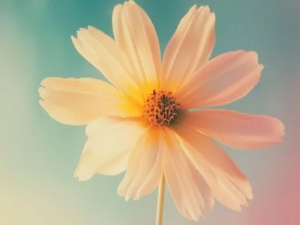 Subliminal Affirmations For Beauty