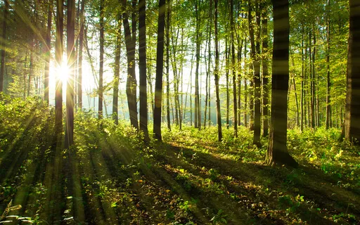 Subliminal Affirmations For Boosting Manifestation Ability