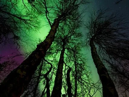 Subliminal Affirmations For Boosting Your Motivation