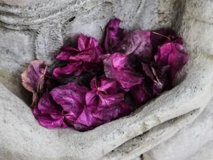 Subliminal Affirmations For Easing Uncertainty