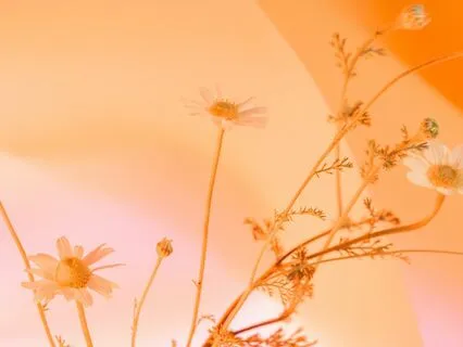 Subliminal Affirmations For Feeling Worthy To Receive