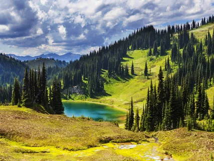 Subliminal Affirmations For Happiness, Joy & Peace 