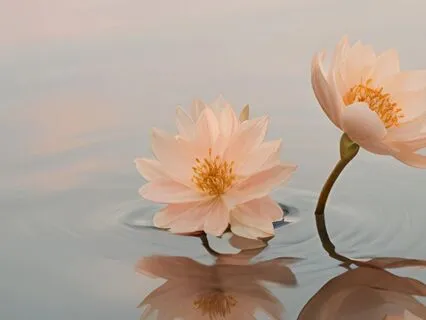 Subliminal Affirmations For Inner Peace