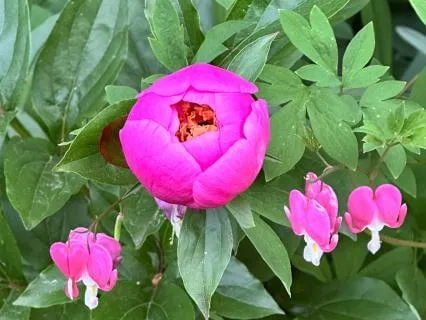 Subliminal Affirmations For Love And Connection