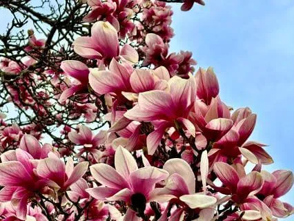 Subliminal Affirmations For Prosperity