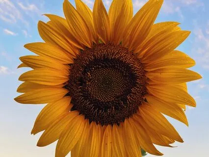 Subliminal Affirmations For Success