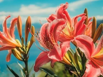 Subliminal Affirmations To Send Healing Energy To Someone