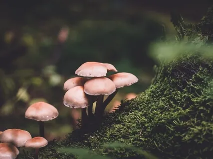 Subliminal (Audible Intro ) Power Affirmations For A Fabulous Life