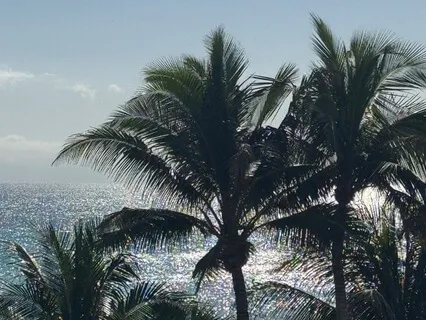 Subliminal For Activating Magnetic Confidence