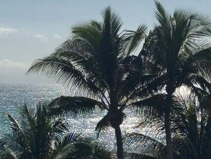 Subliminal For Attracting Your Dream Relationship