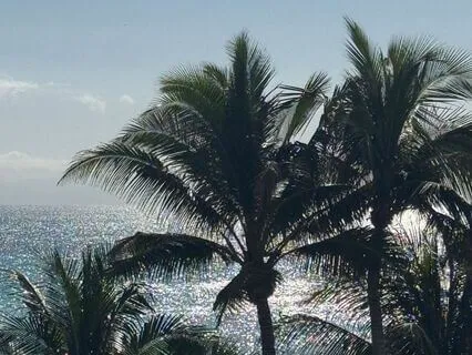 Subliminal For Magnetic Feminine Energy