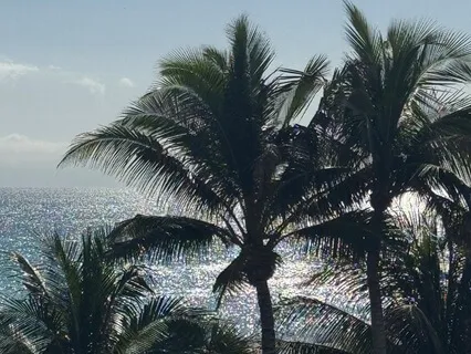 Subliminal For Manifesting Abundance Effortlessly