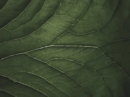 Day 2 - Subliminal Law Of Attraction Affirmations