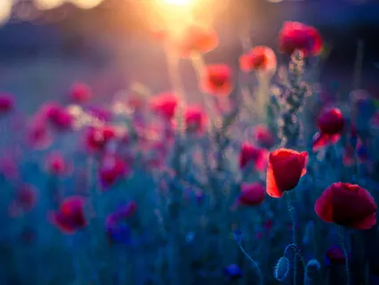 Subliminal Law Of Attraction, Prosperity & Abundance (Barely Audible Male Voice)