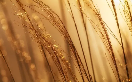 Subliminal Money Affirmations With Theta Binaural Beats 