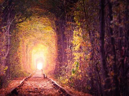 Subliminal Music Healing (Subliminals For Shifting Reality)