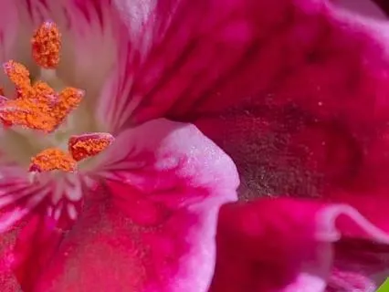 Ocean Healing Frequencies Subliminal Self-Love Affirmations