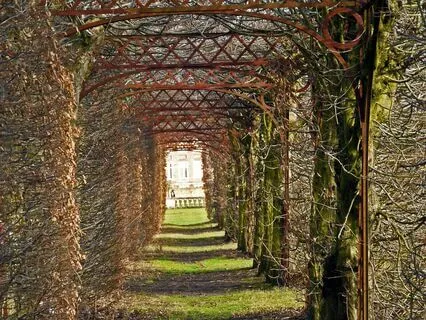 Subliminals Shifting | Quantum Jumping Portal | LoA