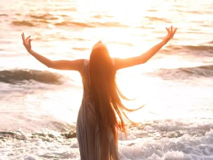 Submission Vs Surrender