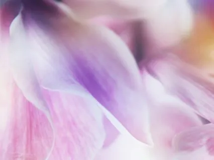 Subtle - Slow Down and Be Present