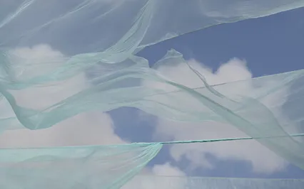 Subtle Ques For The Body And Breath