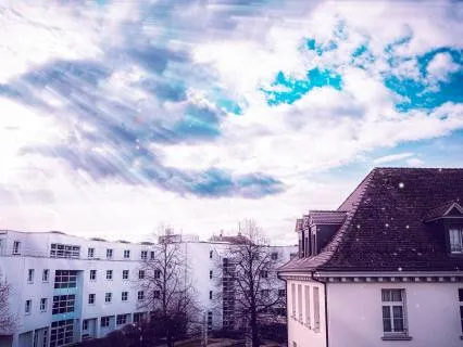 Suburban Sanctuary - A Living Neighborhood Soundscape