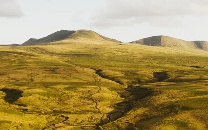 Success, Abundance, Happiness & Prosperity