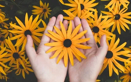 Success Or Failure- It's All Part Of The Great Harmonization