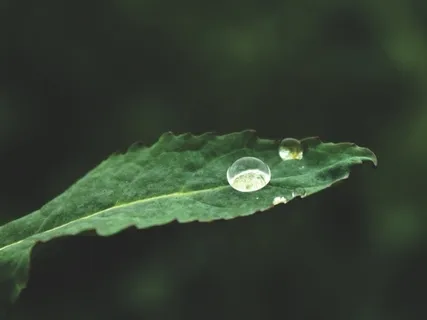 Cancer - Successful Chemotherapy